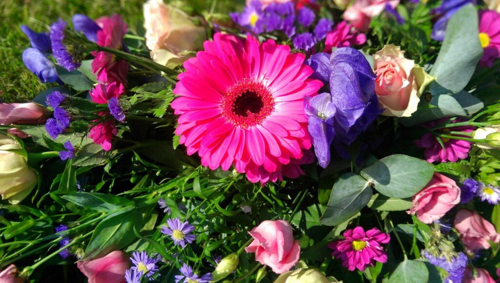 A vibrant bouquet featuring a large pink gerbera daisy surrounded by purple, cream, and pink flowers with green leaves, captured in bright sunlight.