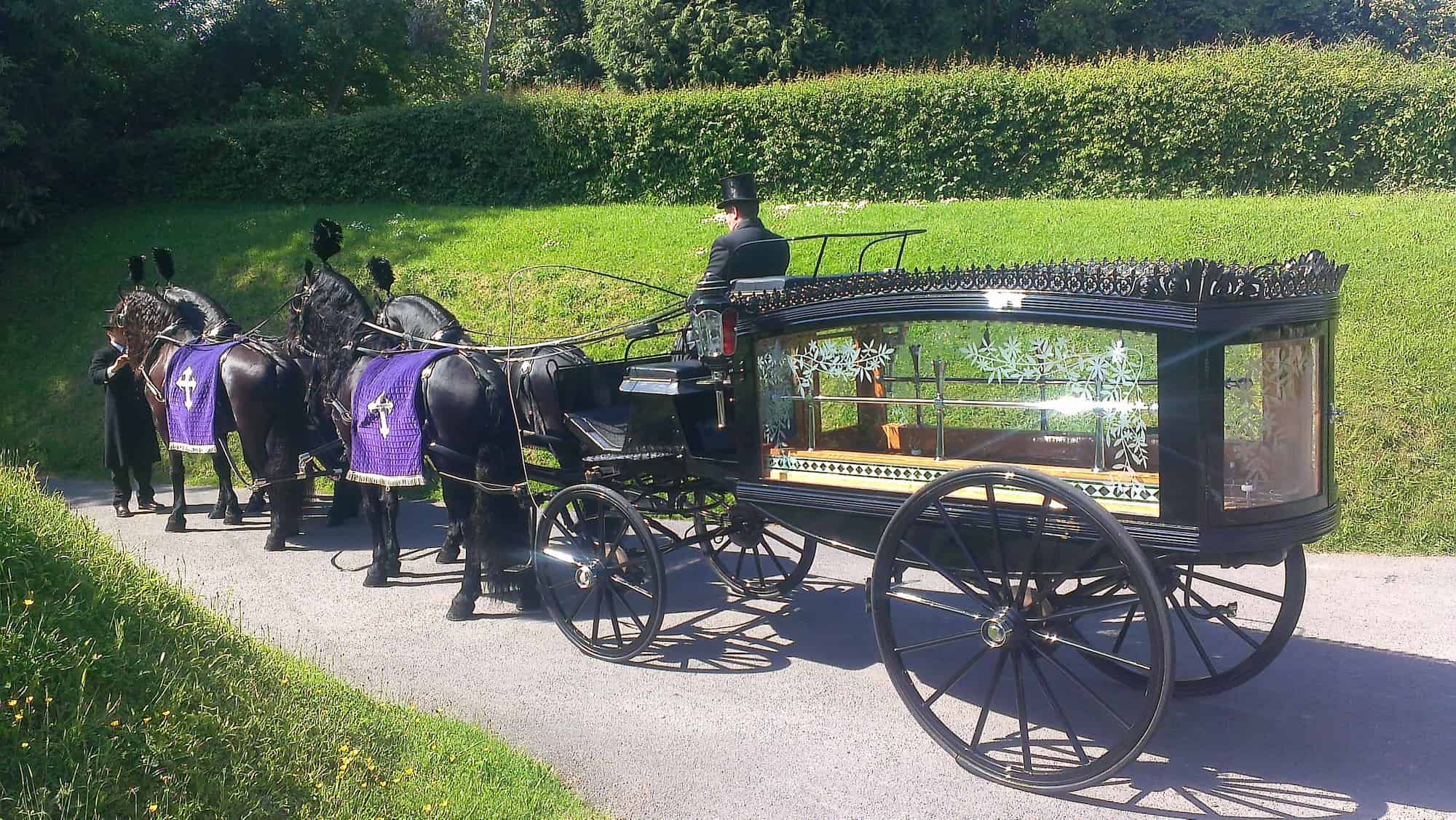 A black horse-drawn funeral hearse carriage with glass sides, ornate details, and two black horses in purple coverings, driven by a man in formal attire on a sunlit road.